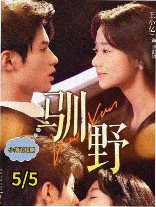 星空影院免费电视剧全集悬疑剧雾港来信画面